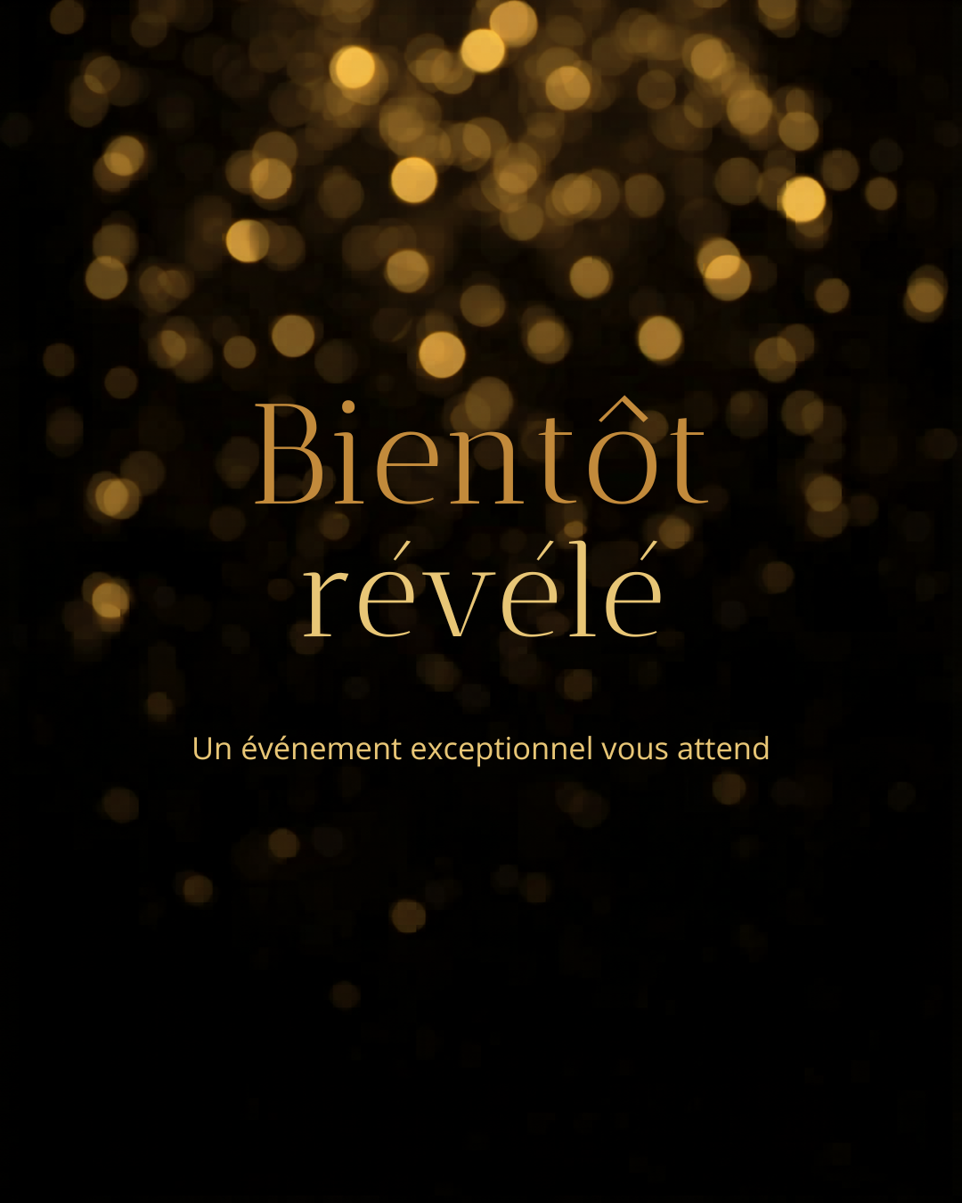 Gala Événements – aperçu 2